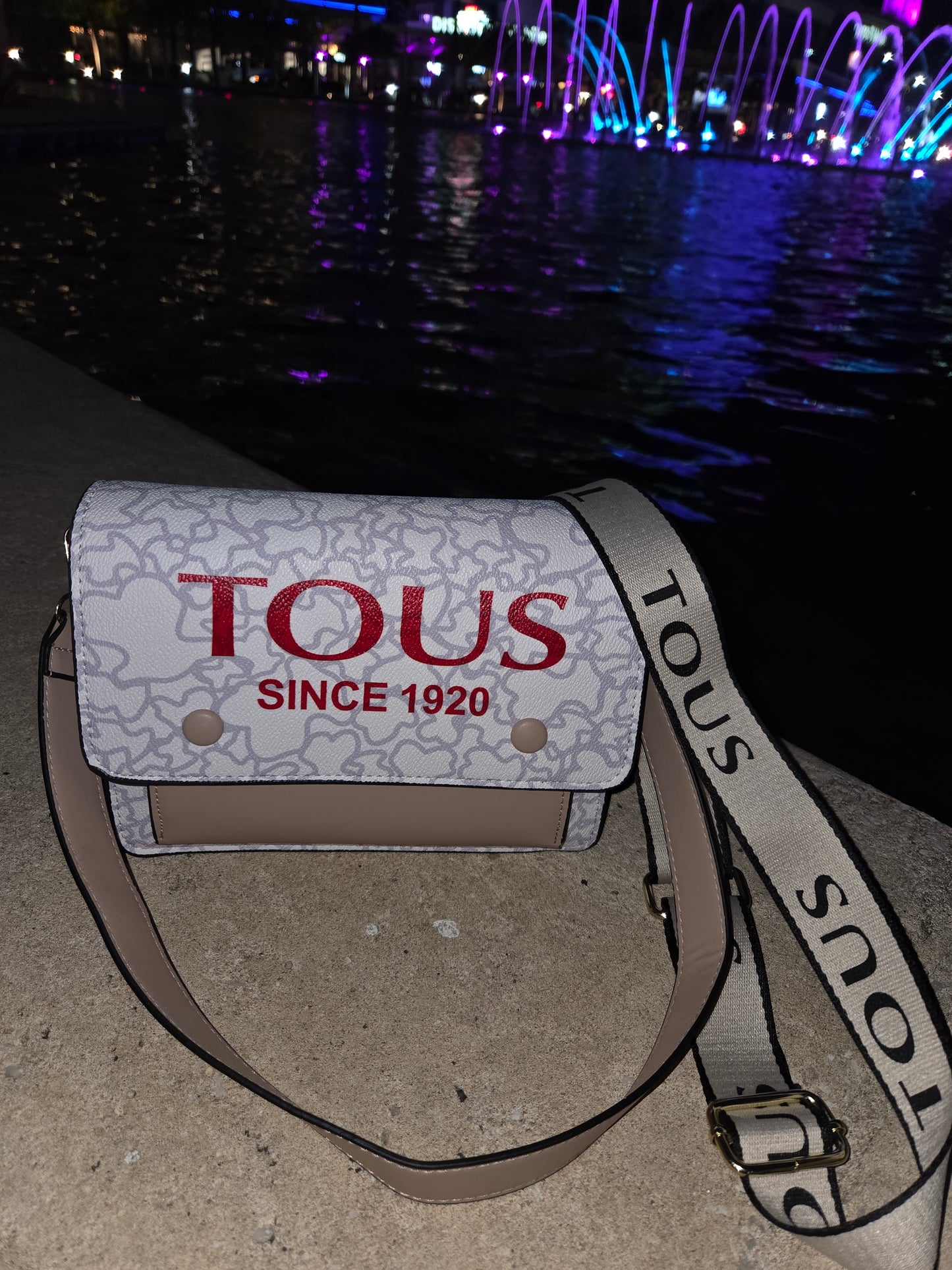 Cartera Viajera